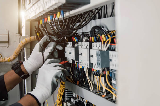Best Electric Panel Repair  in Creedmoor, NC